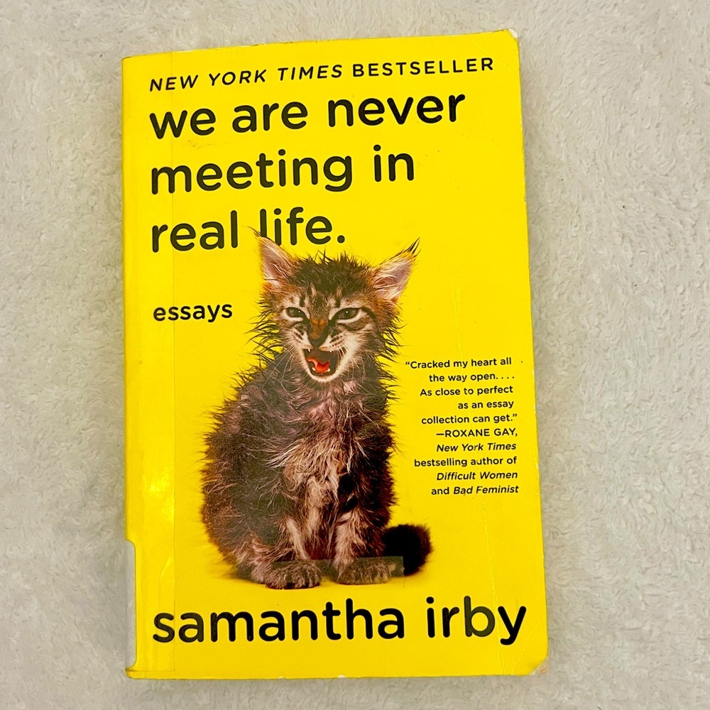 We Are Never Meeting in Real Life — Samantha Irby